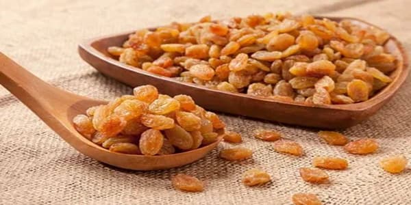 تصویر 5 از خرید و فروش کشمش طلایی تاکستان با شرایط فوق العاده